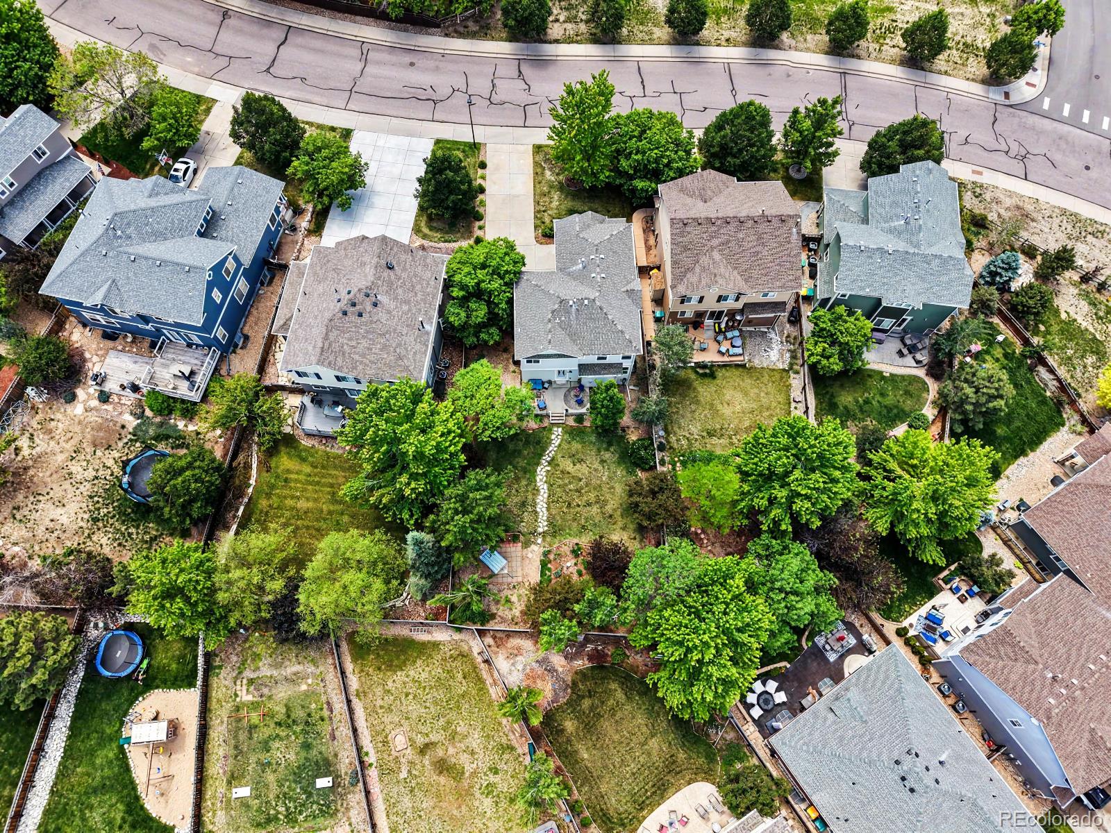 MLS Image #24 for 4471  tanglevine drive,castle rock, Colorado
