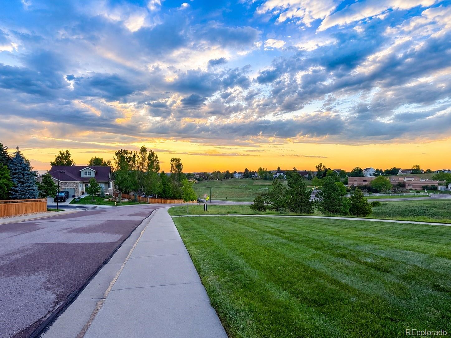 MLS Image #26 for 4471  tanglevine drive,castle rock, Colorado