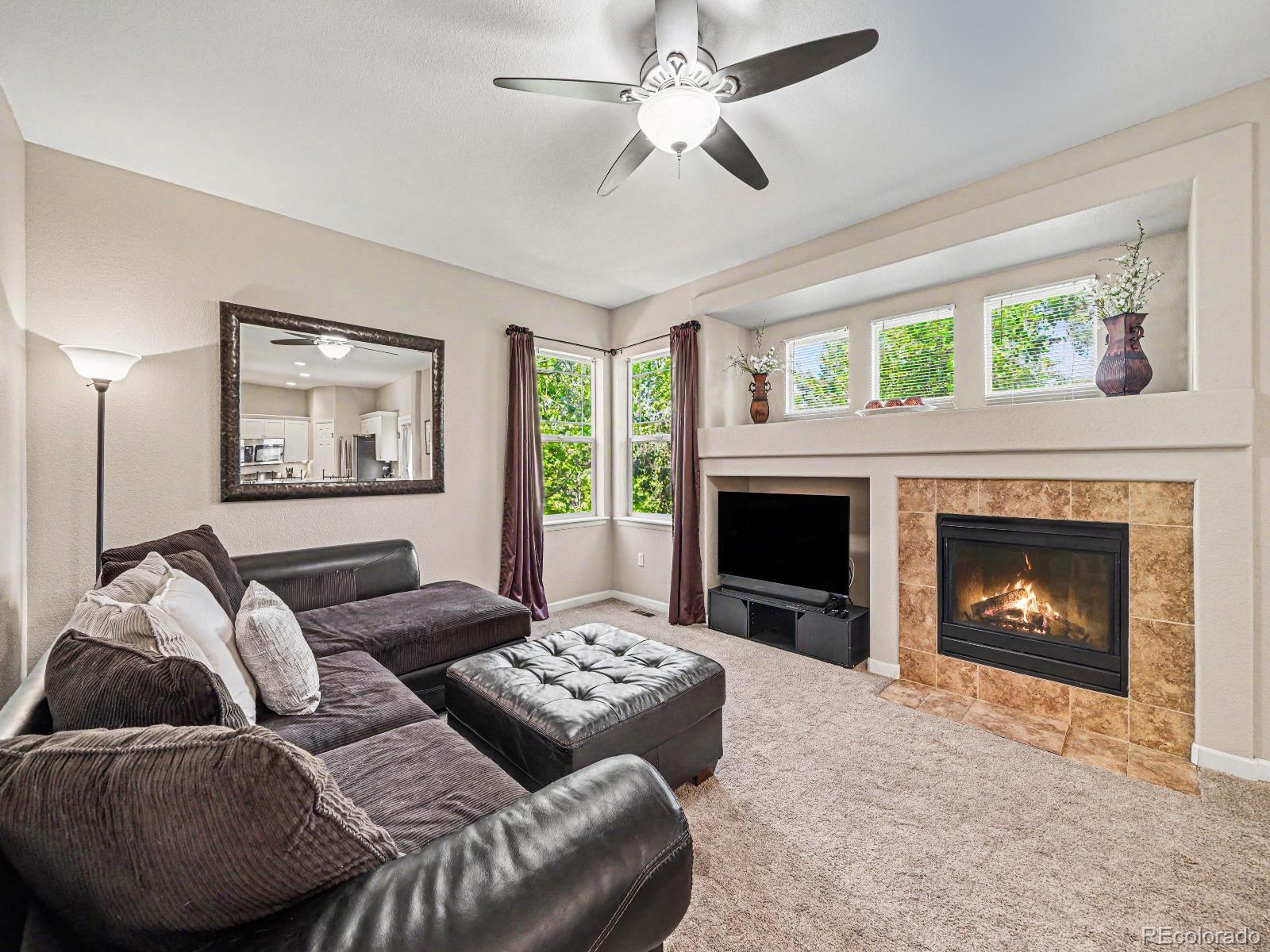 MLS Image #9 for 4471  tanglevine drive,castle rock, Colorado