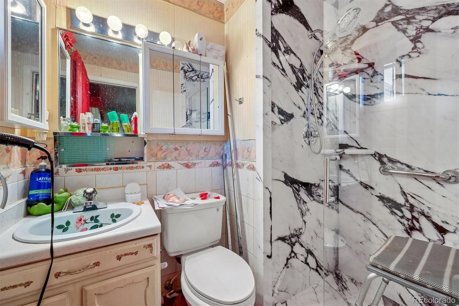 MLS Image #10 for 5014  scranton court,denver, Colorado