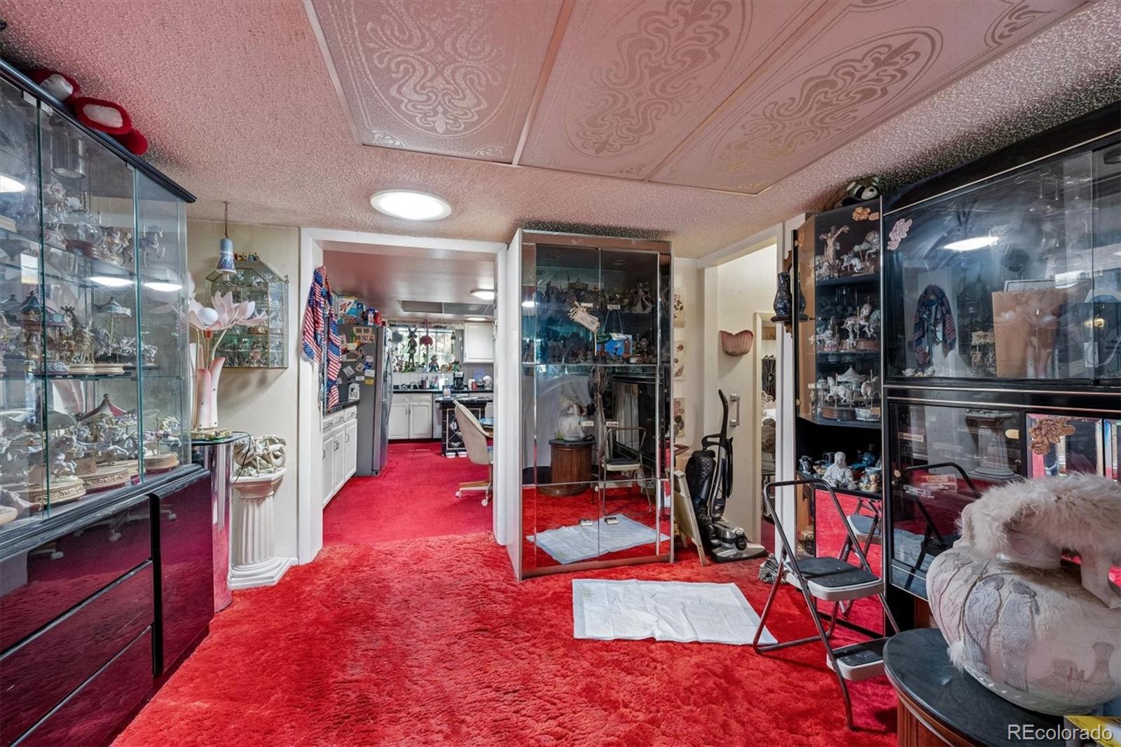 MLS Image #14 for 5014  scranton court,denver, Colorado