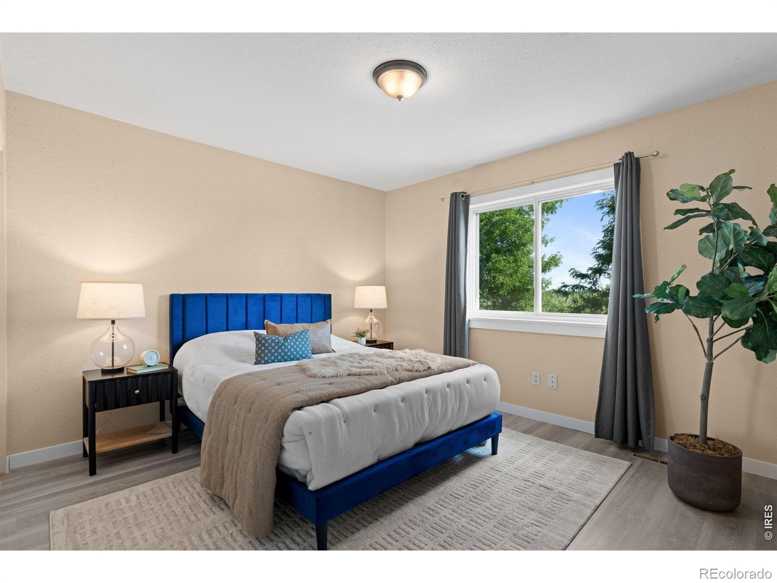 MLS Image #17 for 2901  cherly street,fort collins, Colorado