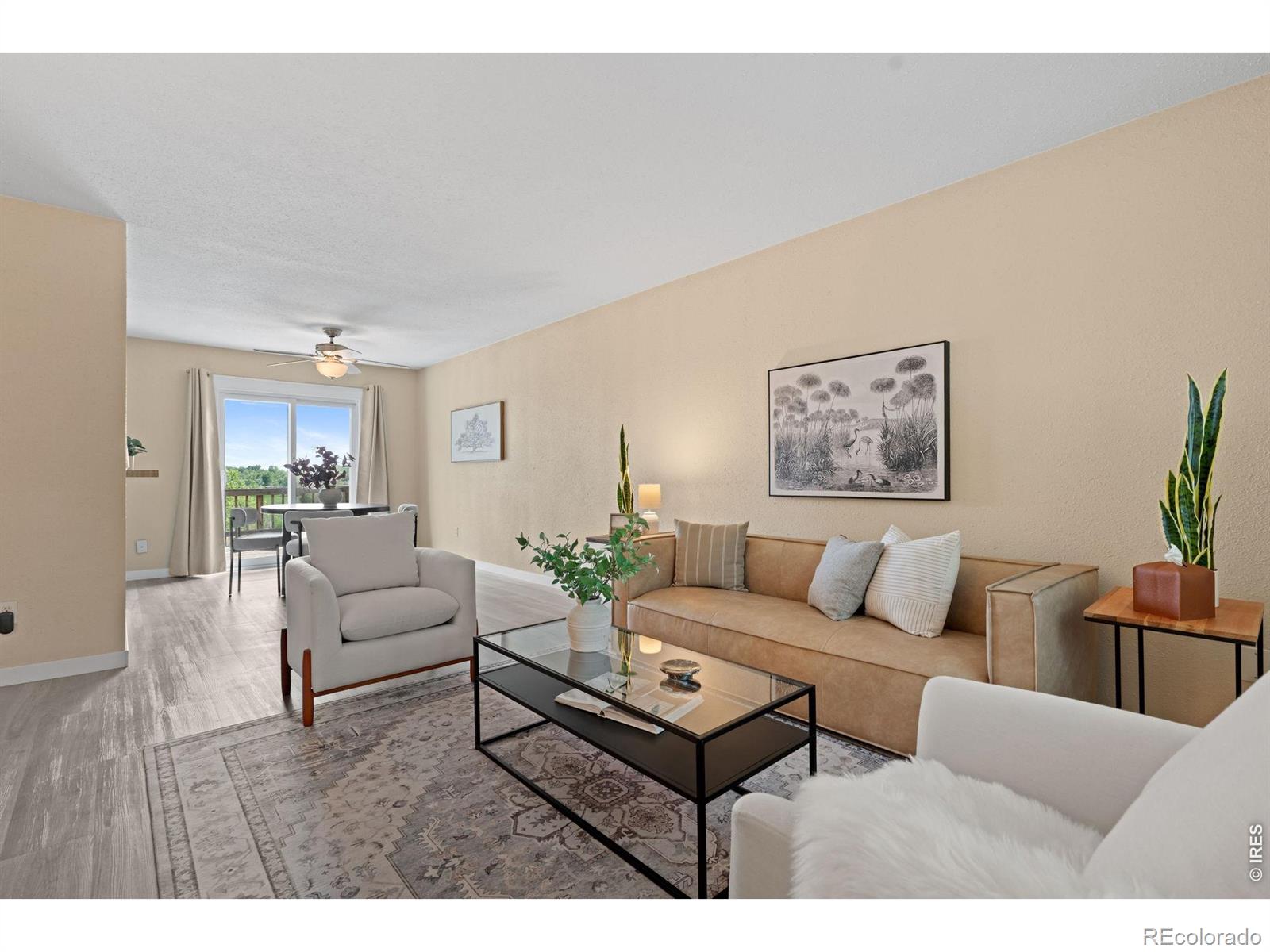 MLS Image #4 for 2901  cherly street,fort collins, Colorado