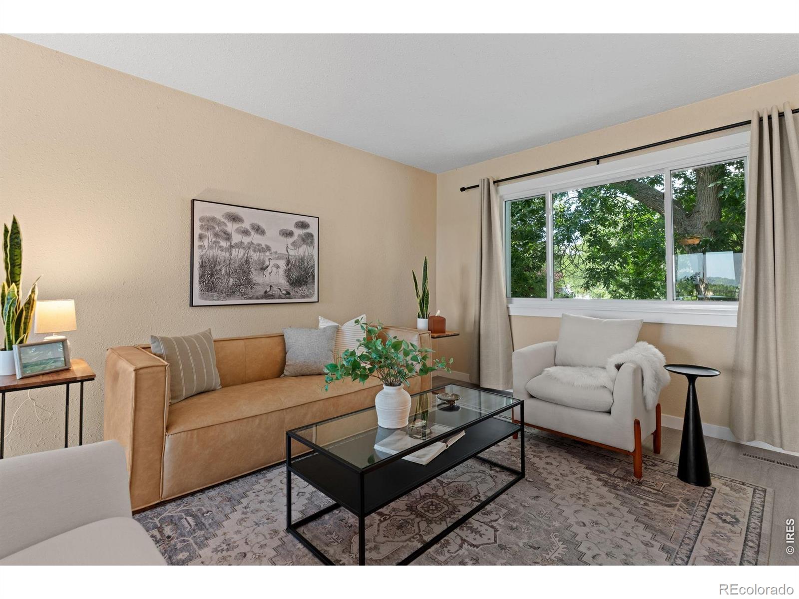 MLS Image #6 for 2901  cherly street,fort collins, Colorado