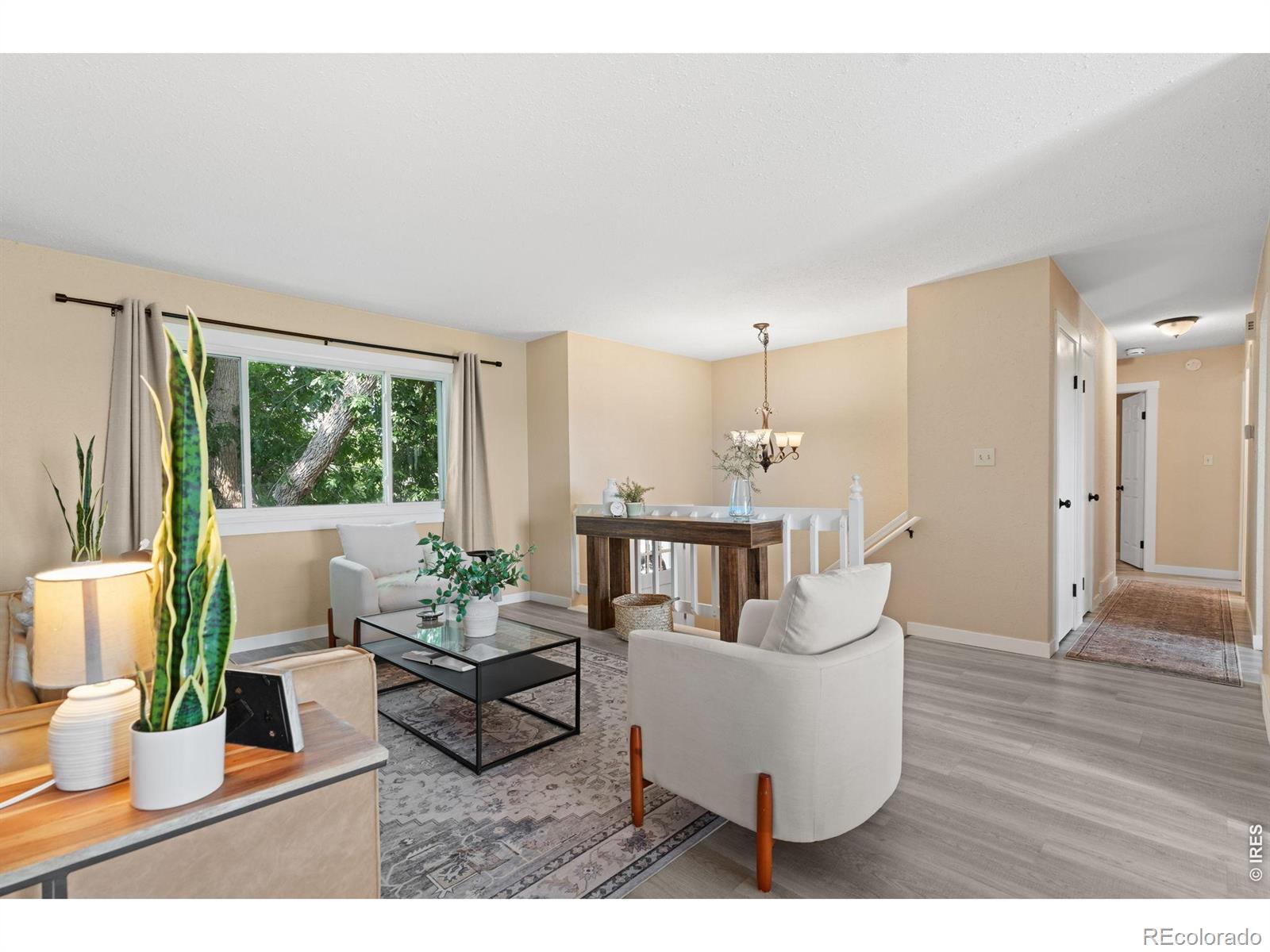 MLS Image #8 for 2901  cherly street,fort collins, Colorado