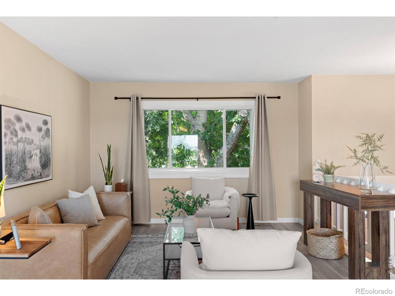 MLS Image #9 for 2901  cherly street,fort collins, Colorado