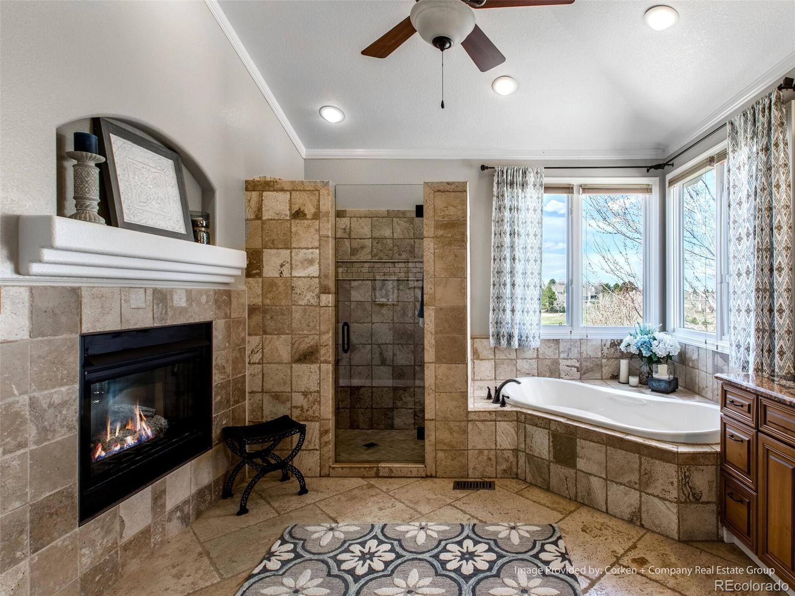 MLS Image #21 for 8435  green island circle,lone tree, Colorado