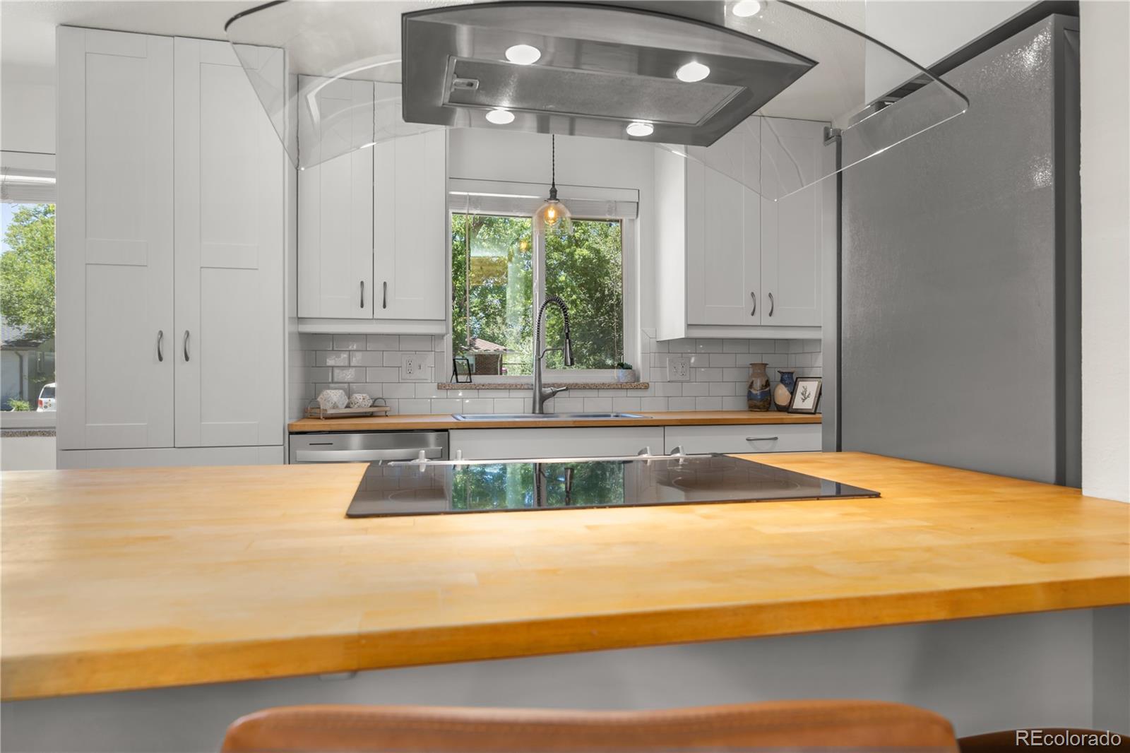 MLS Image #9 for 1742  countess court,longmont, Colorado