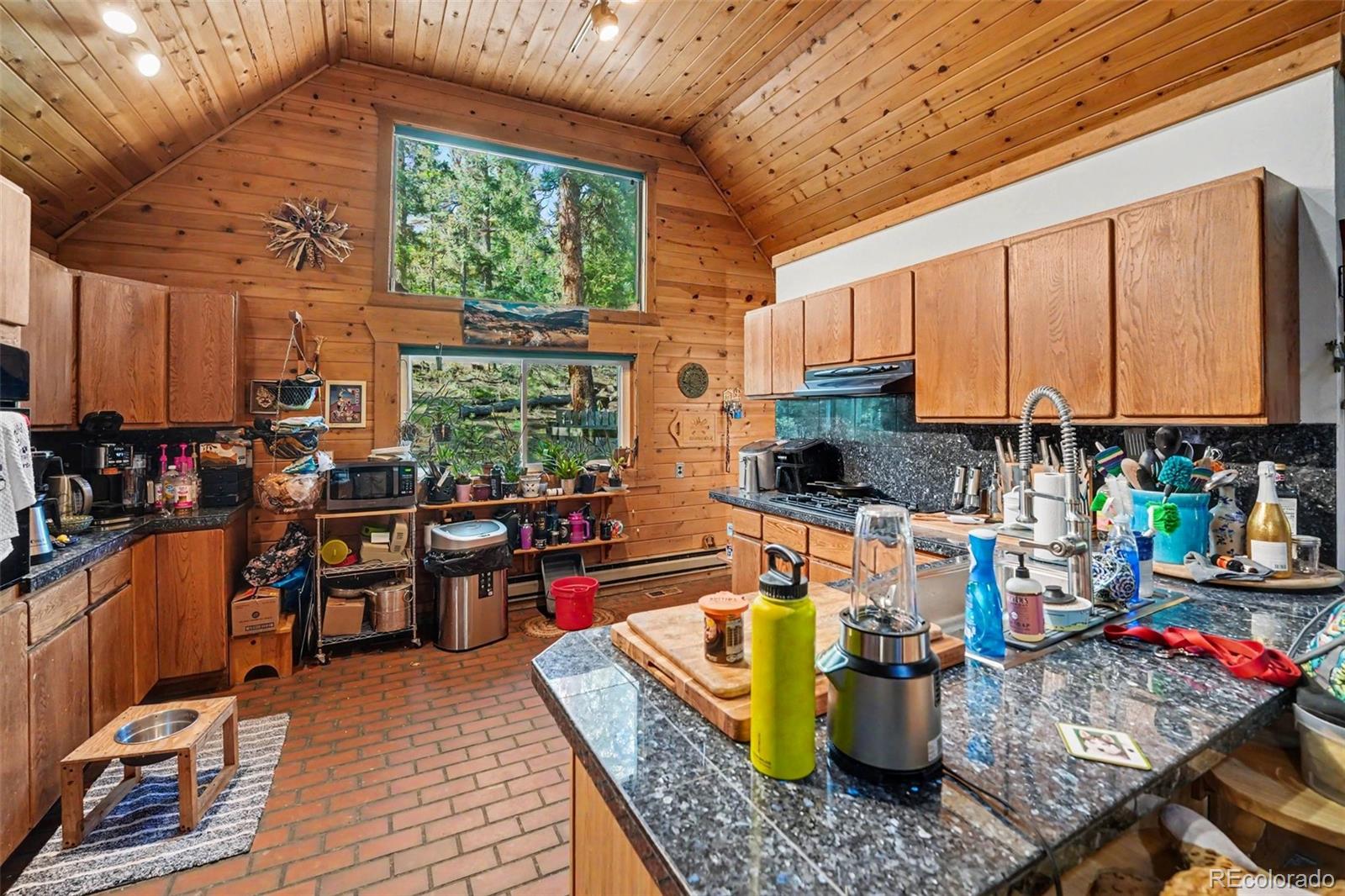 MLS Image #17 for 200  desparado road,bailey, Colorado