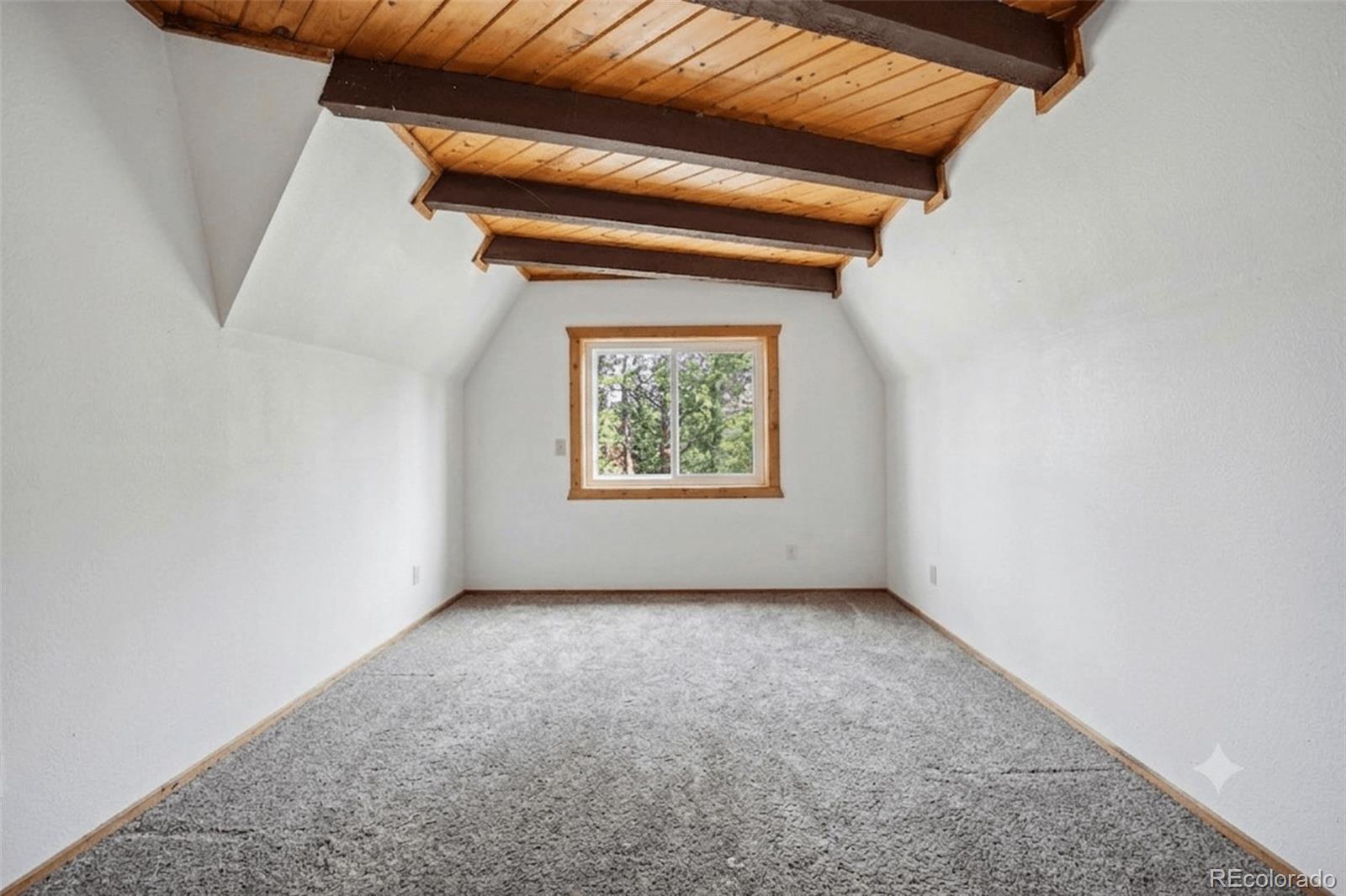 MLS Image #27 for 200  desparado road,bailey, Colorado