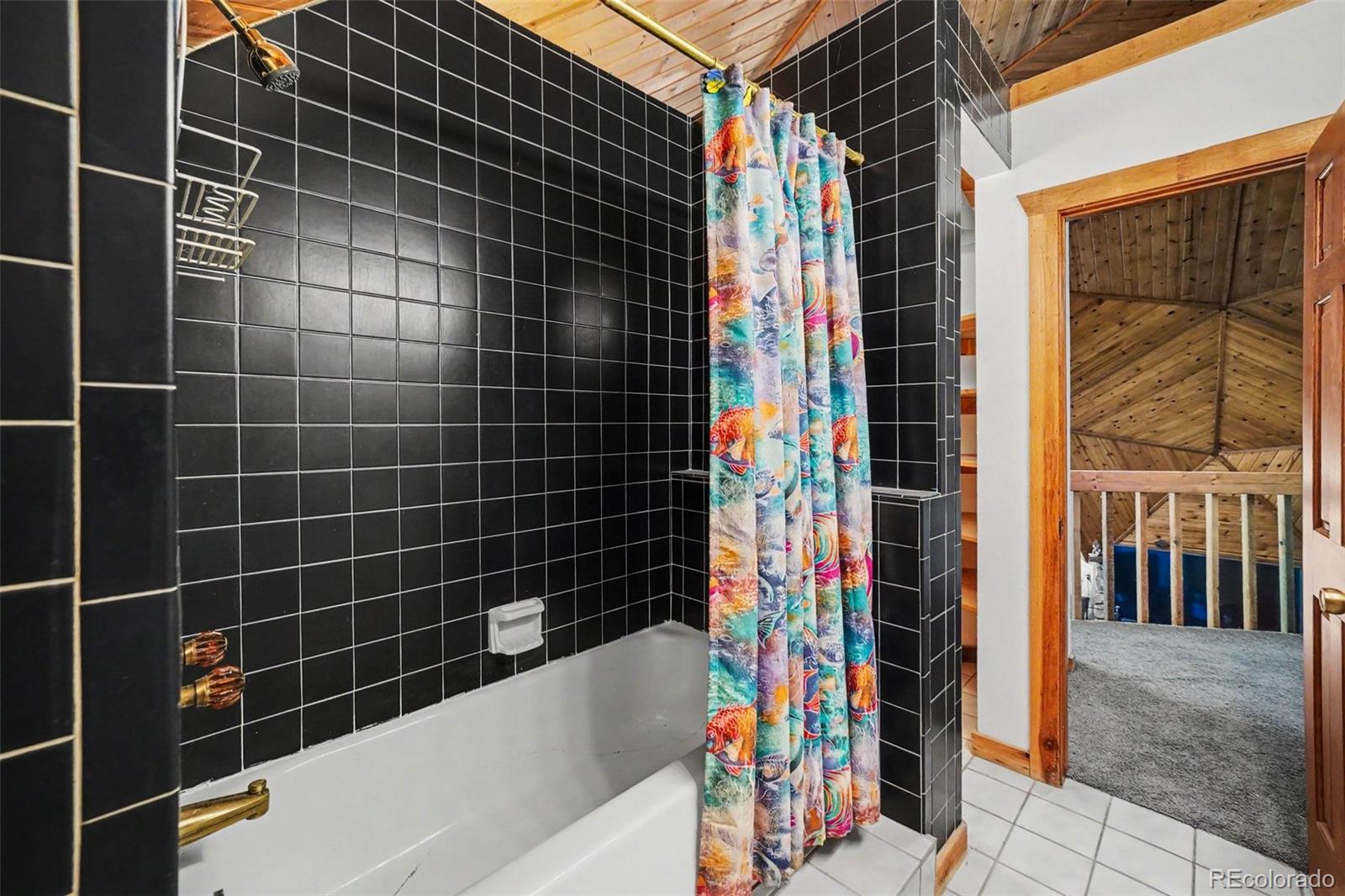 MLS Image #37 for 200  desparado road,bailey, Colorado