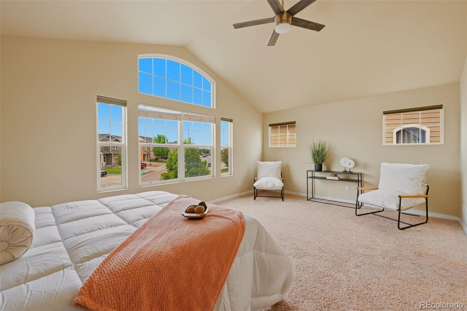MLS Image #20 for 6266  finglas drive,colorado springs, Colorado