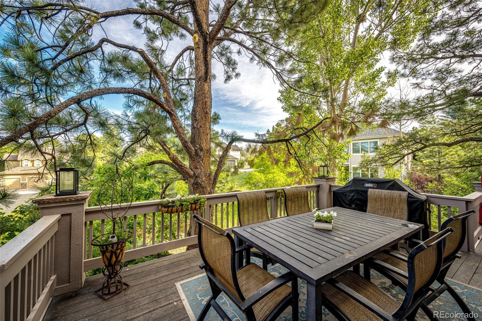 MLS Image #15 for 907  greenridge lane,castle pines, Colorado
