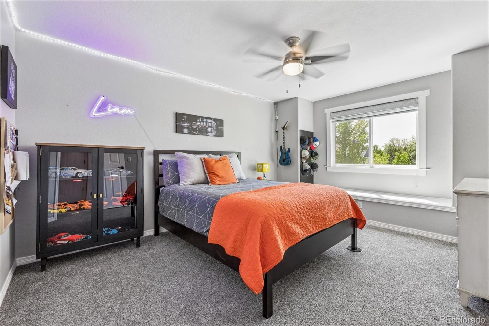 MLS Image #21 for 10497  longleaf drive,parker, Colorado