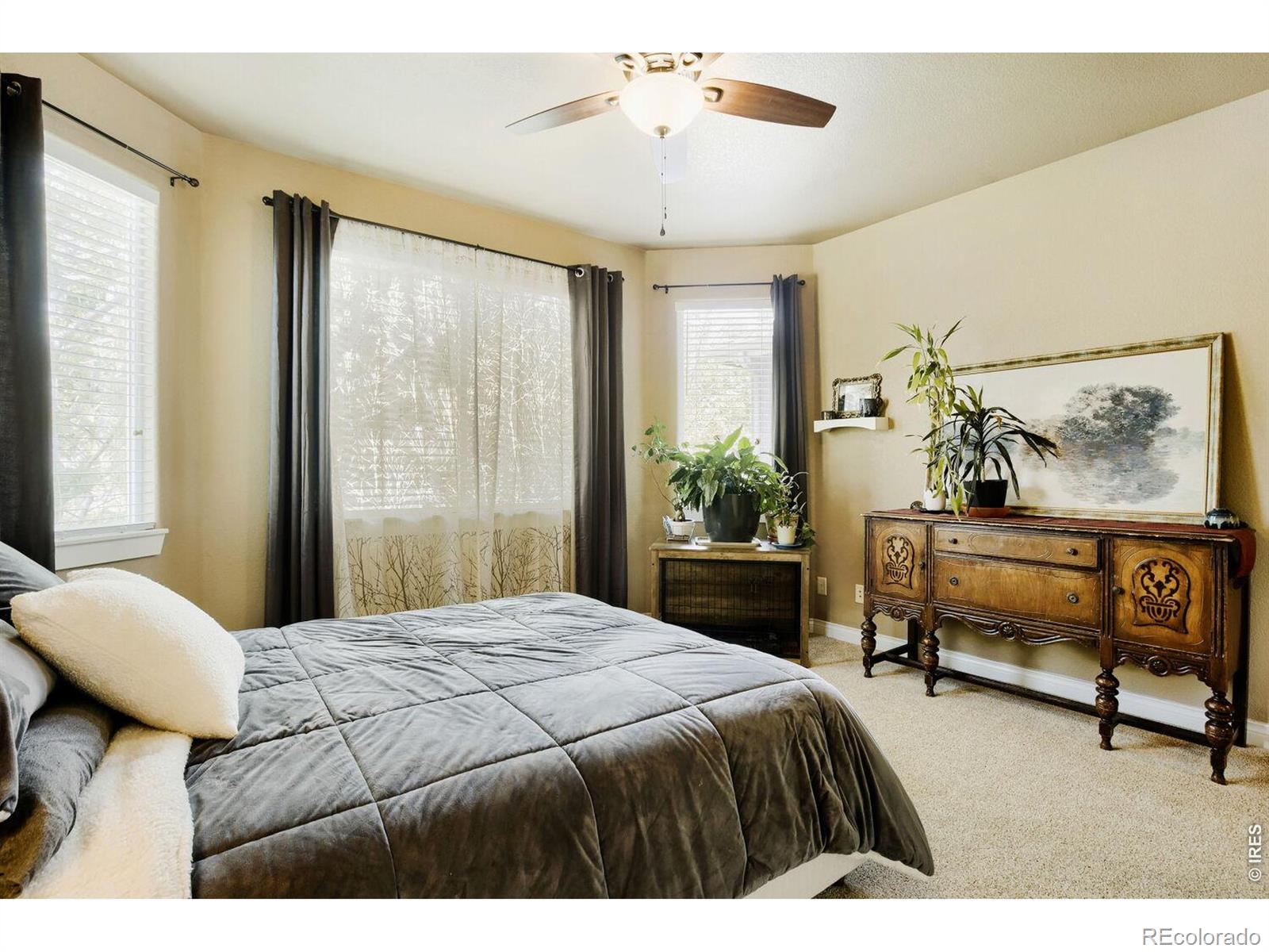 MLS Image #16 for 3229  muskrat creek drive,fort collins, Colorado