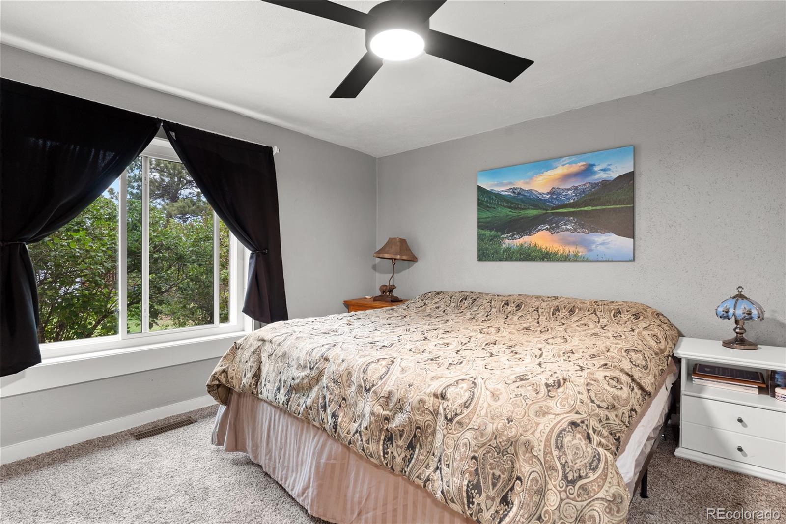 MLS Image #14 for 20  larkspur street,palmer lake, Colorado