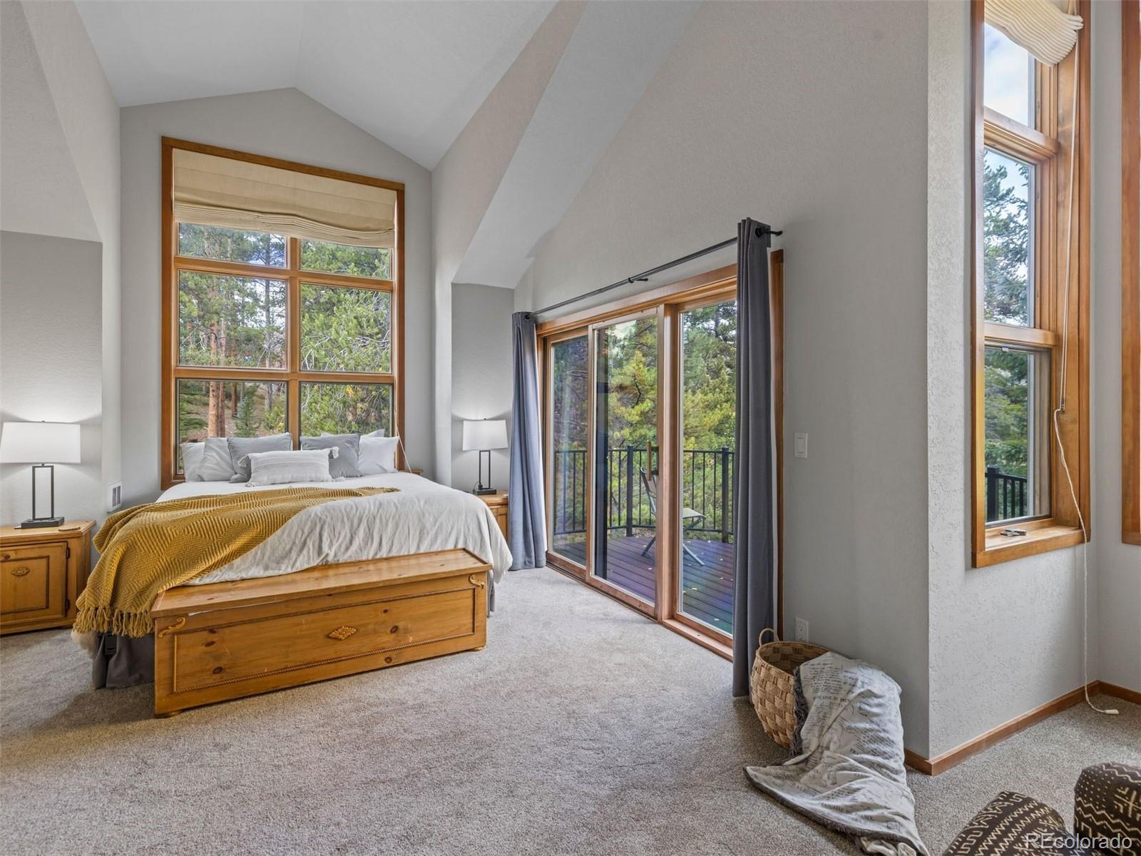 MLS Image #24 for 1107  penstemon road,dillon, Colorado