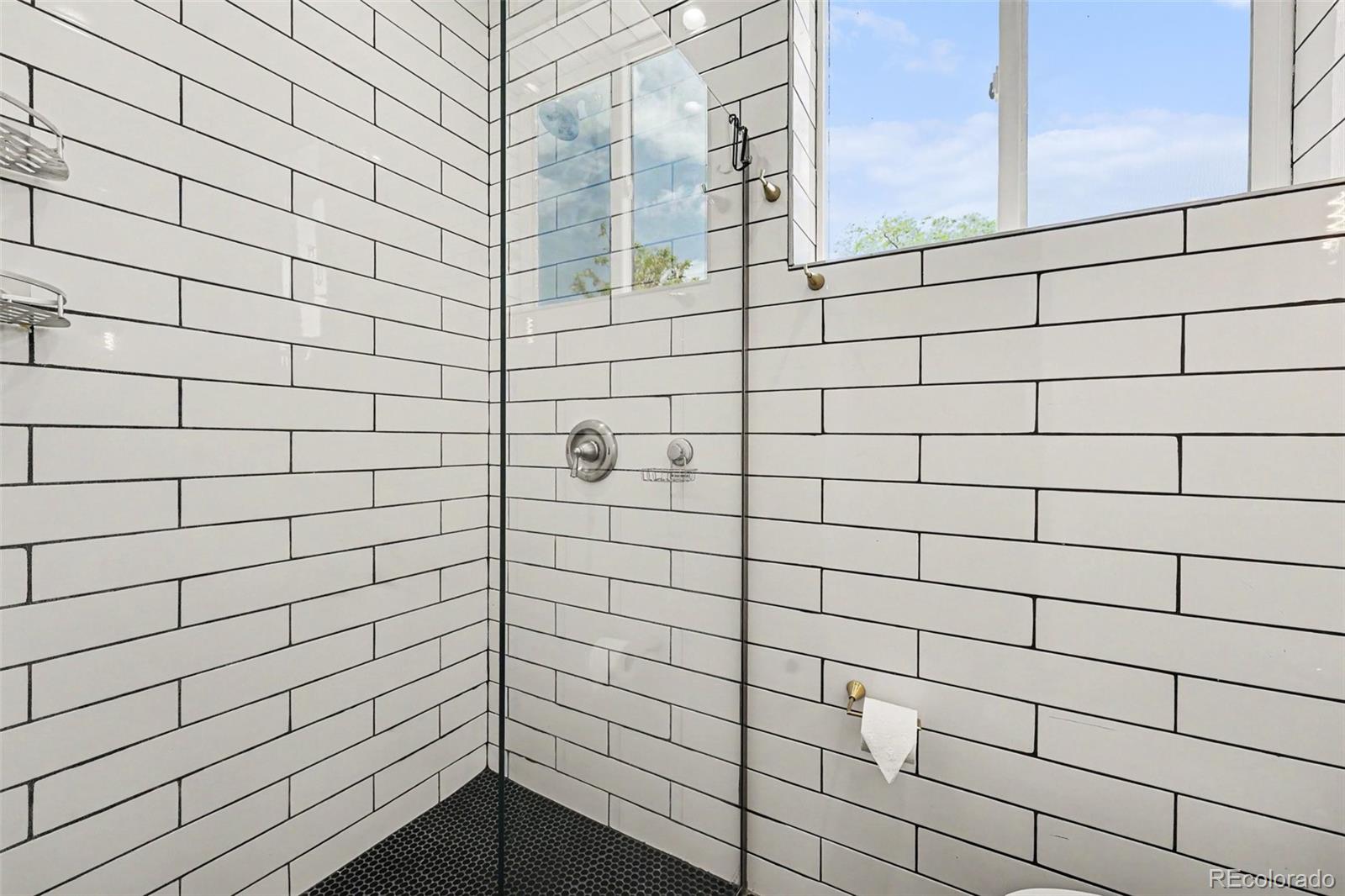 MLS Image #21 for 3078  albion street,denver, Colorado