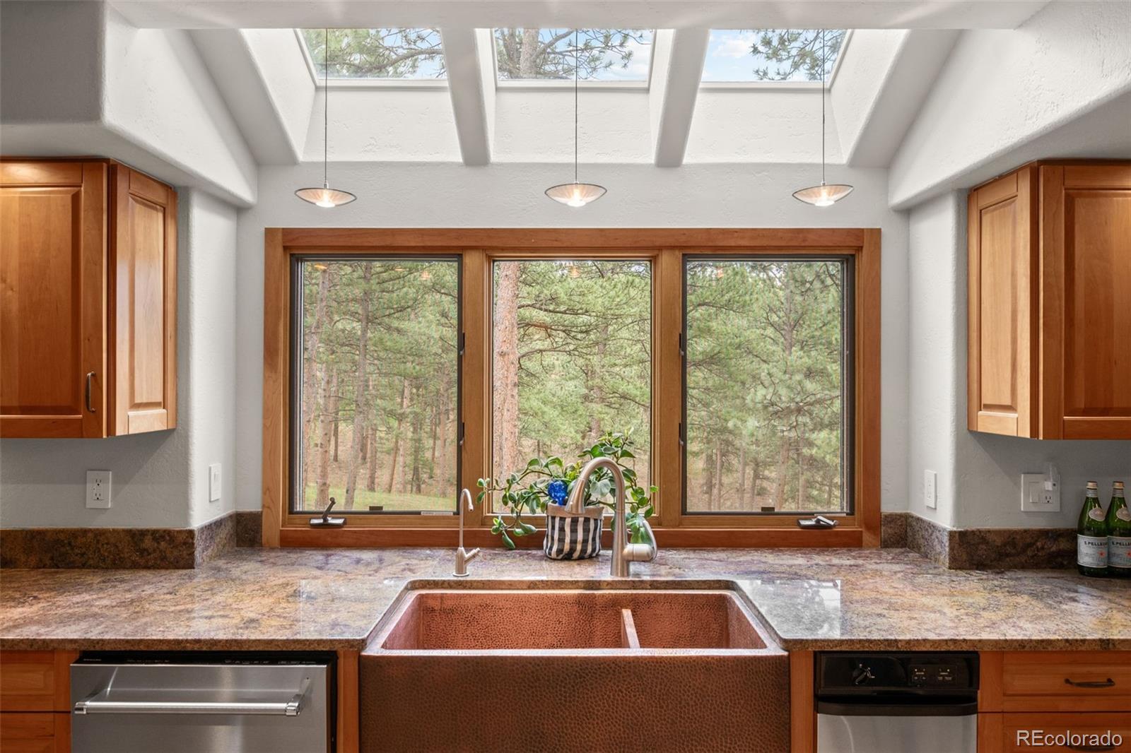 MLS Image #15 for 29474  firethorne court,evergreen, Colorado