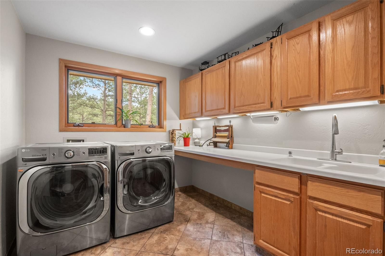 MLS Image #28 for 29474  firethorne court,evergreen, Colorado