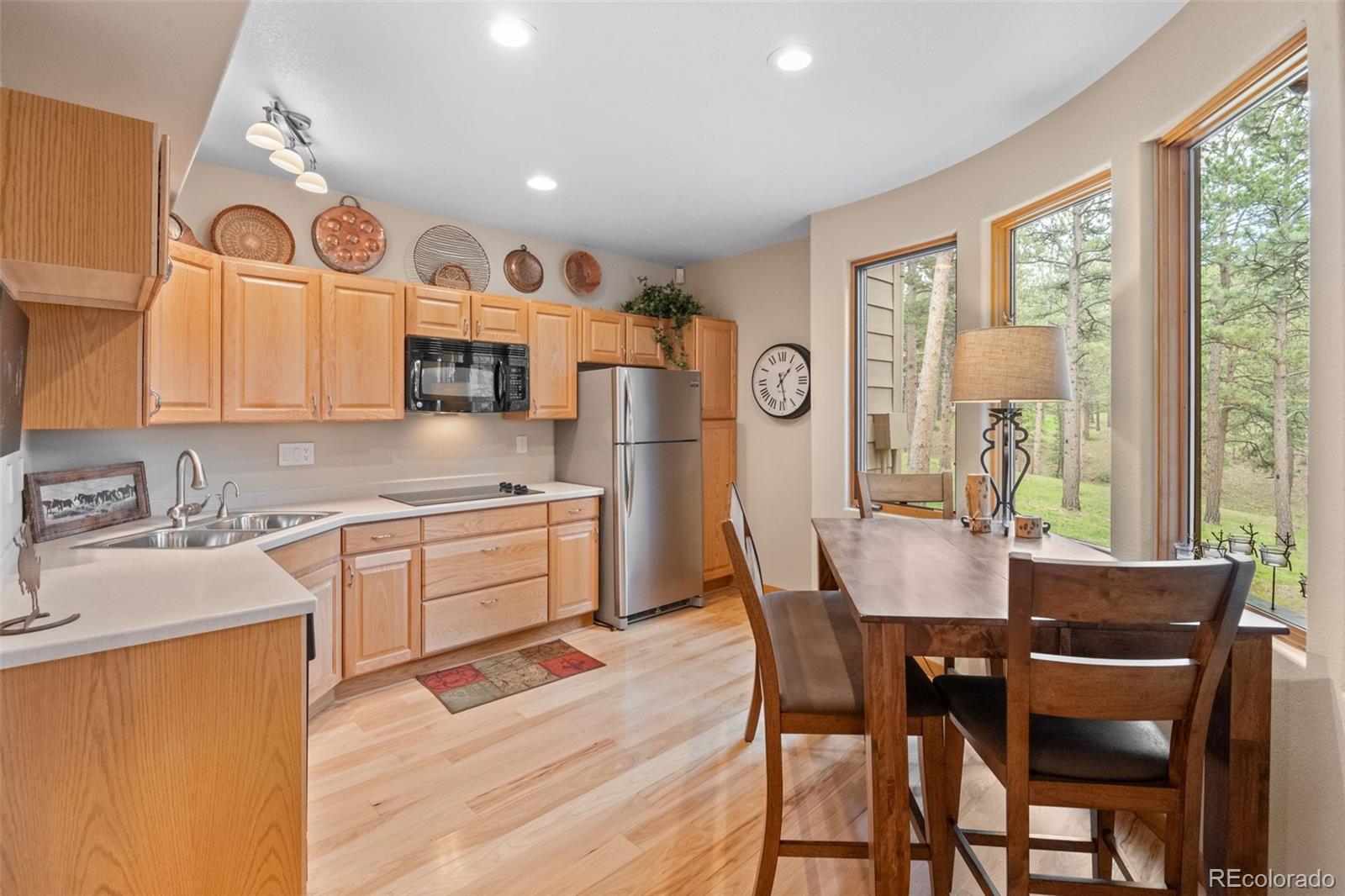 MLS Image #41 for 29474  firethorne court,evergreen, Colorado