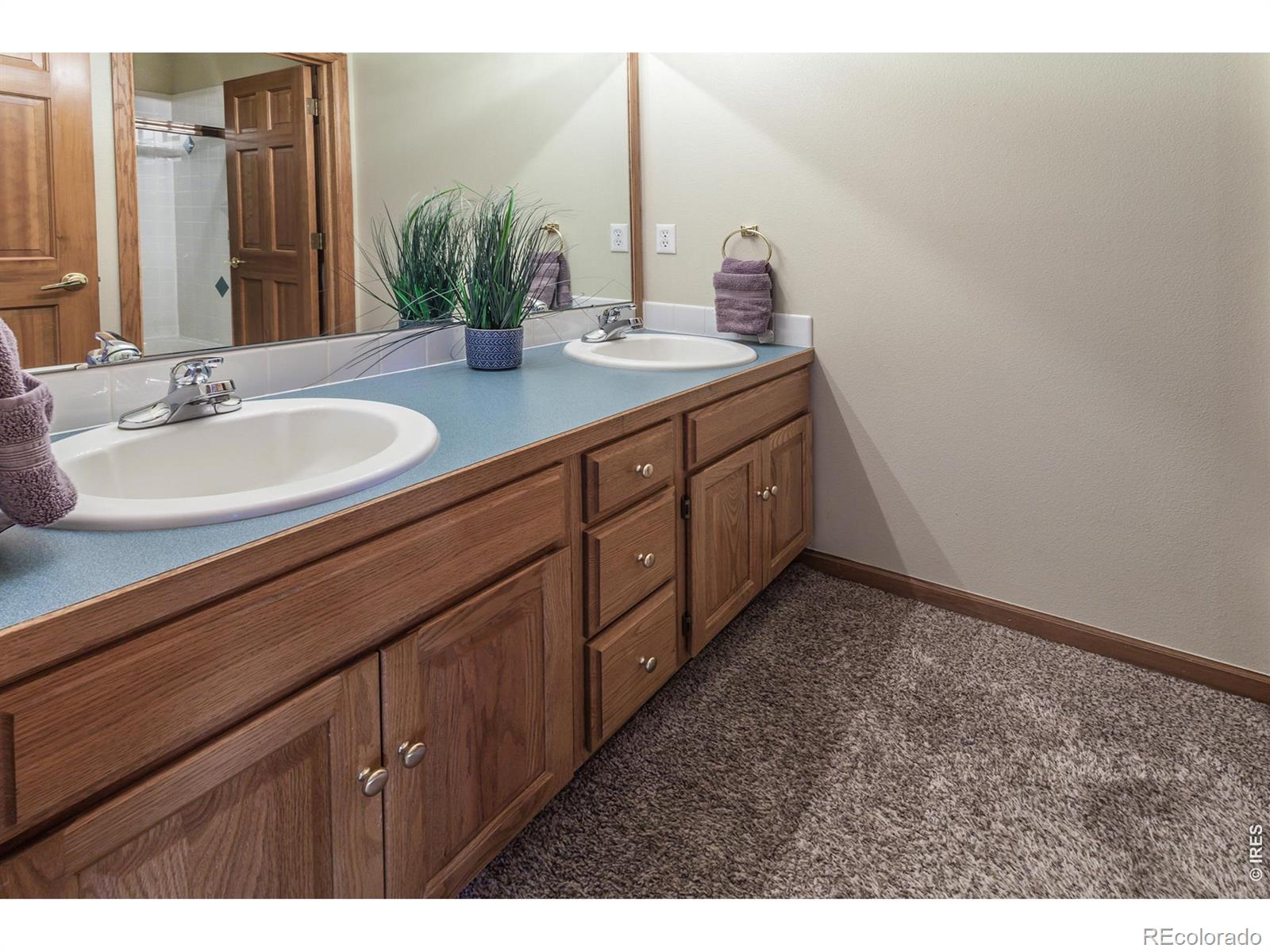 MLS Image #27 for 6100  pheasant court,fort collins, Colorado