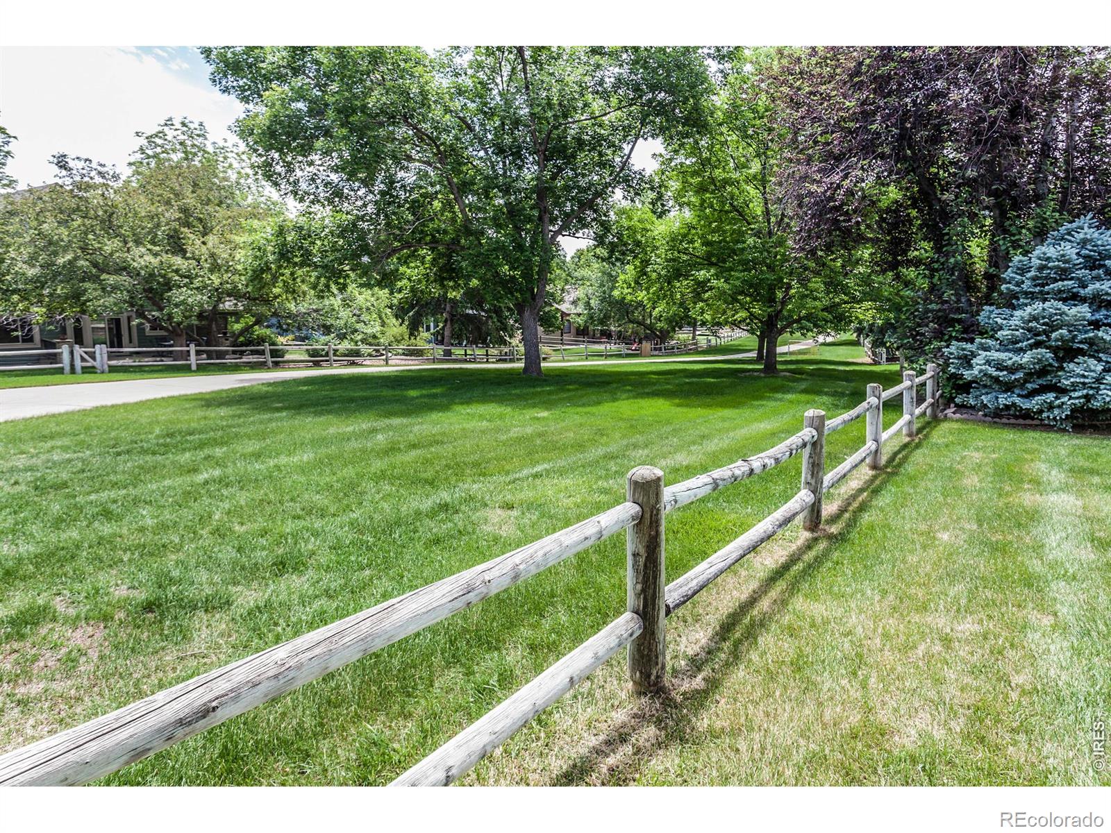 MLS Image #40 for 6100  pheasant court,fort collins, Colorado