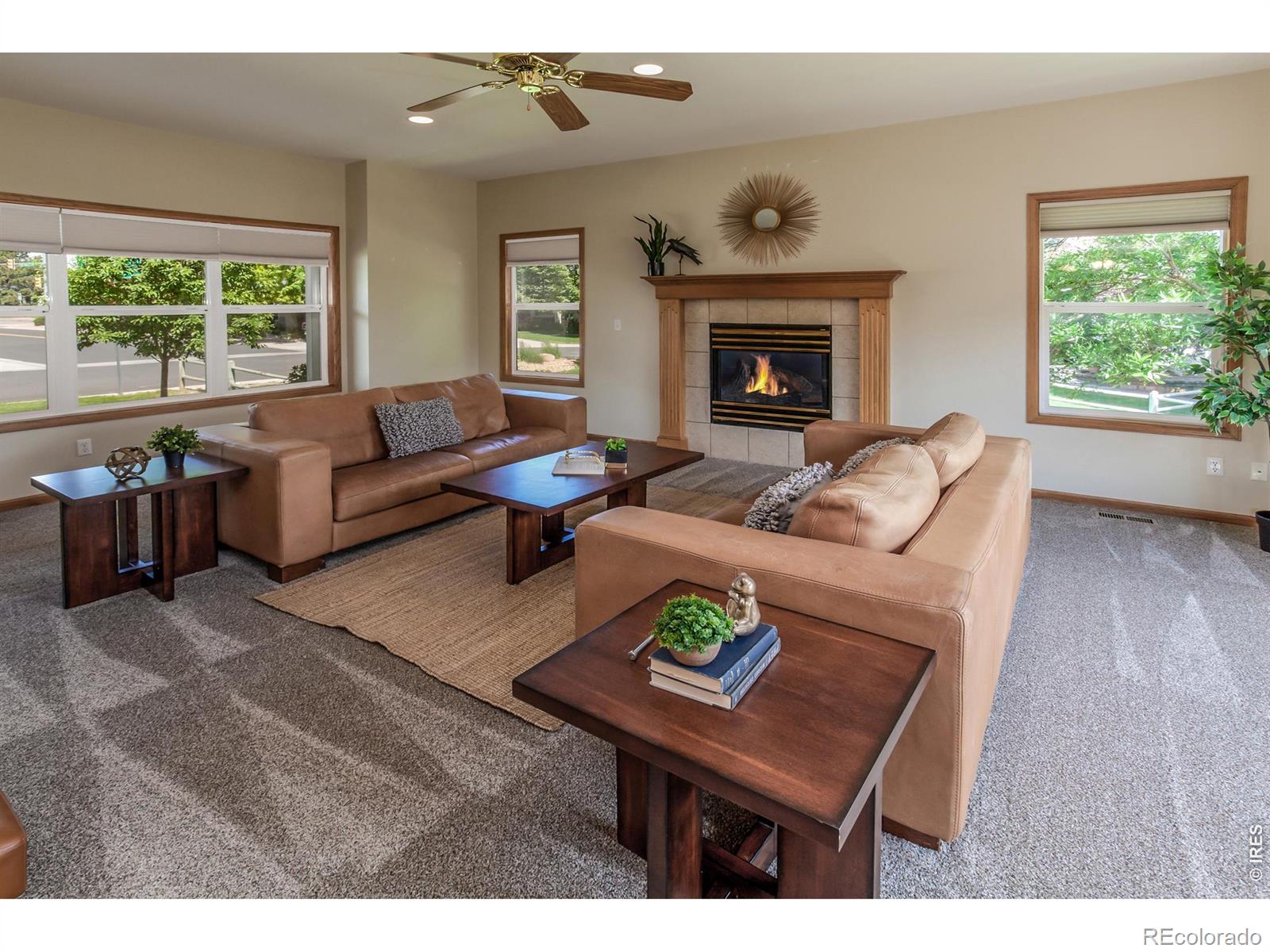 MLS Image #7 for 6100  pheasant court,fort collins, Colorado