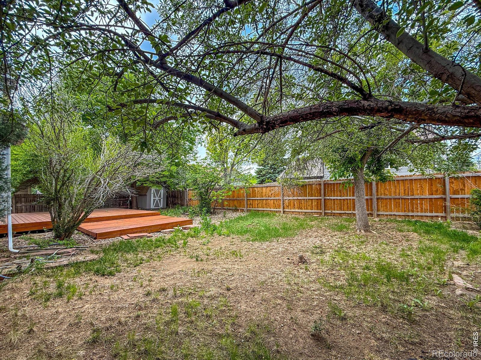 MLS Image #38 for 2155  stuart street,longmont, Colorado