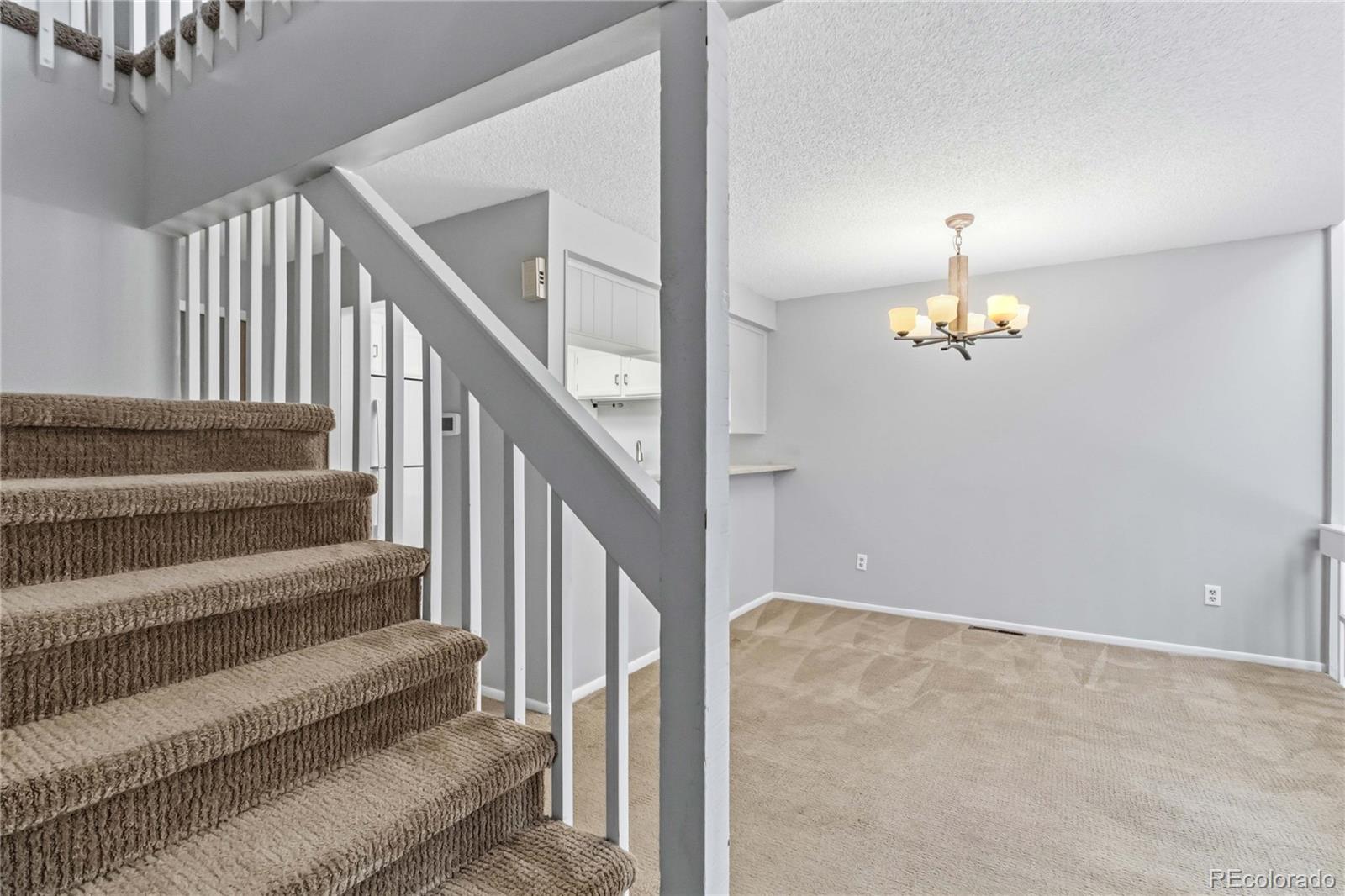 MLS Image #16 for 11813  elk head range road,littleton, Colorado