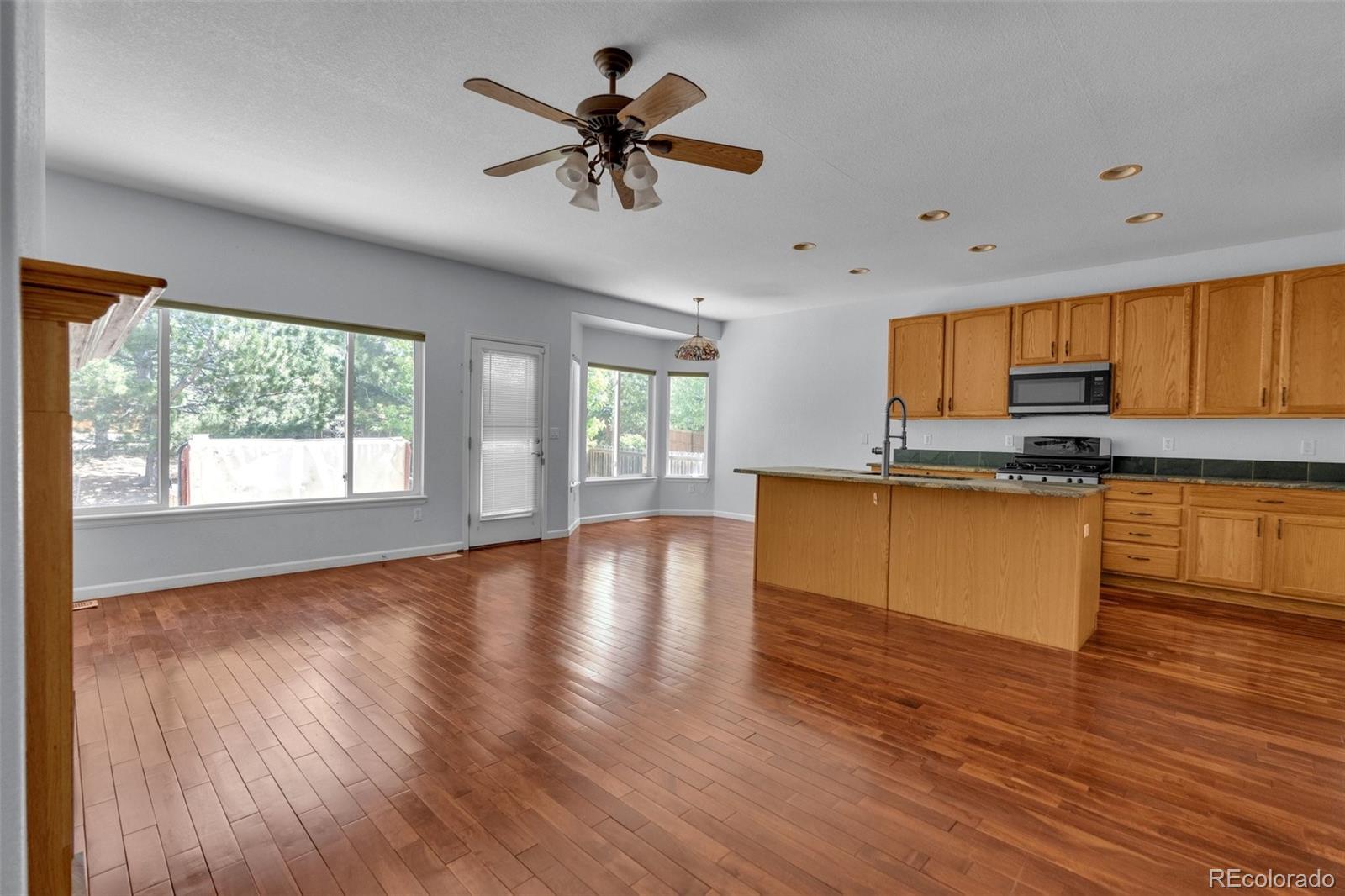 MLS Image #10 for 21027  hawthorne lane,parker, Colorado