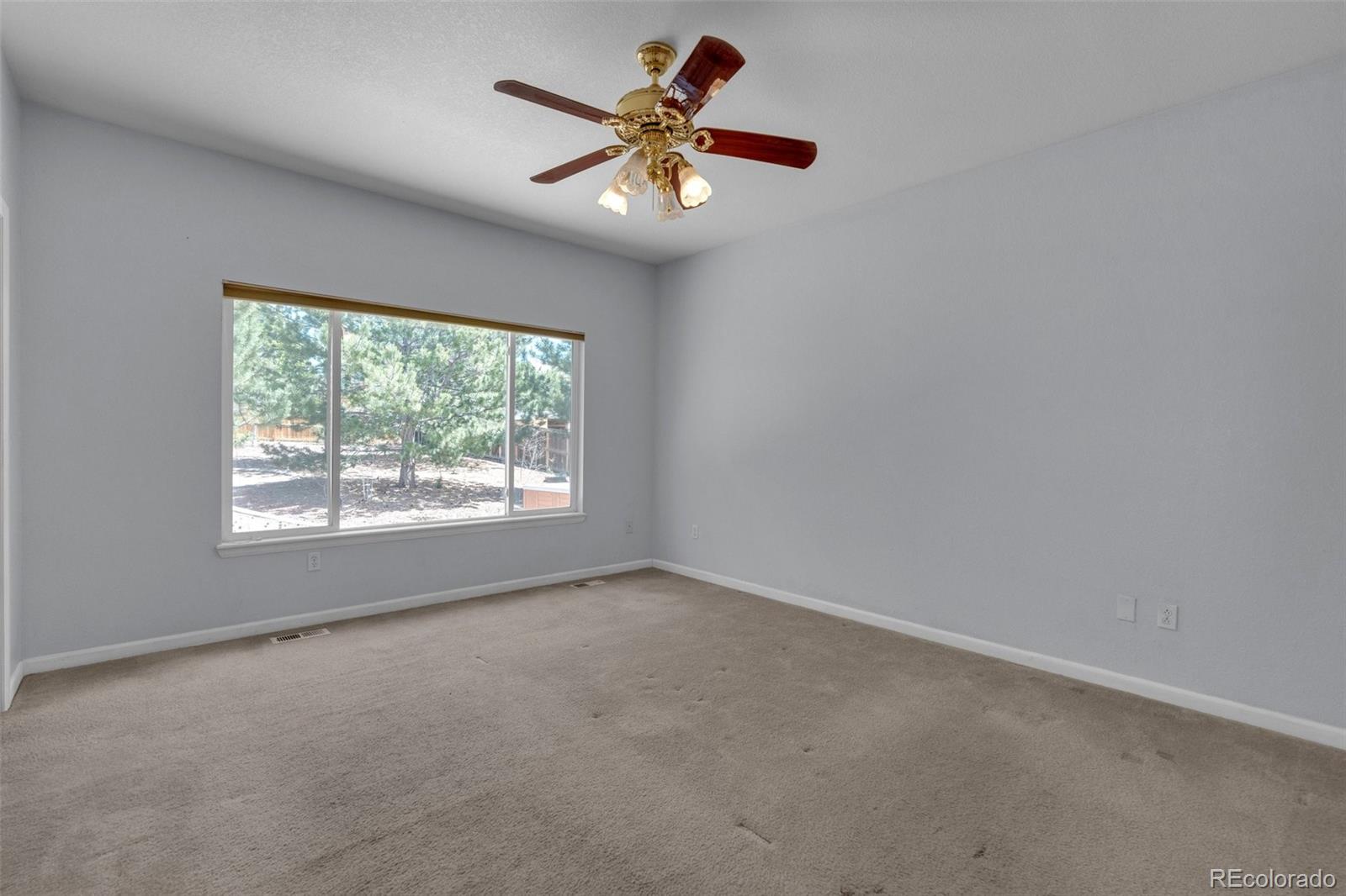 MLS Image #17 for 21027  hawthorne lane,parker, Colorado