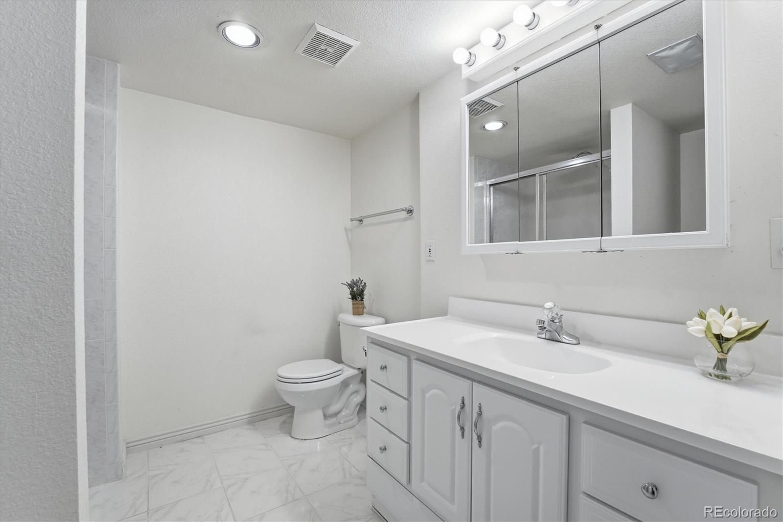 MLS Image #30 for 11391 e amherst court,aurora, Colorado