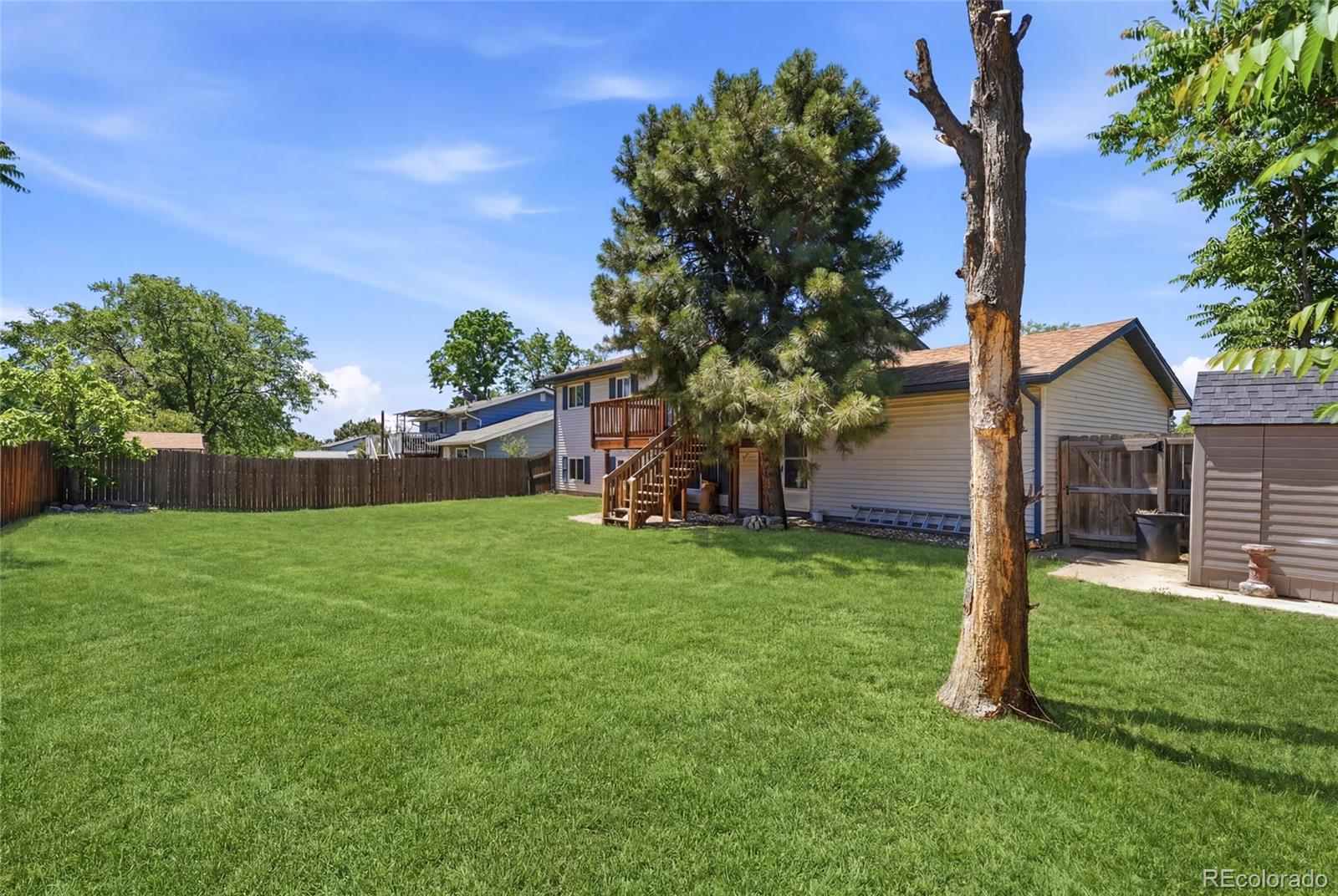 MLS Image #25 for 8300  race street,denver, Colorado