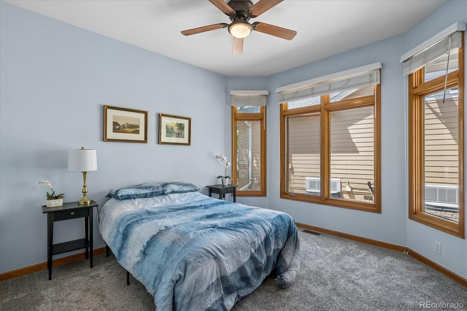 MLS Image #19 for 1  birmingham court,highlands ranch, Colorado