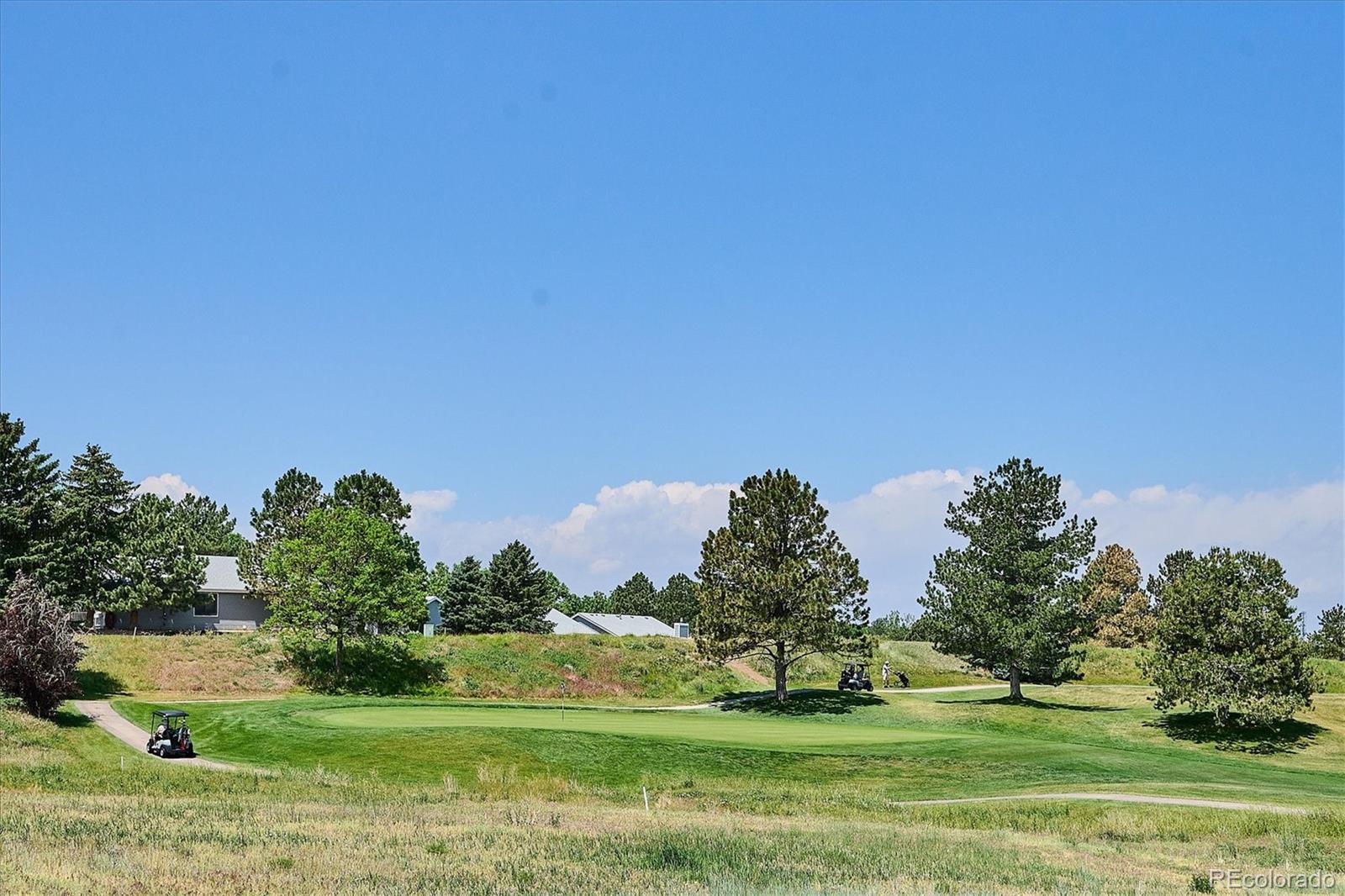 MLS Image #40 for 1  birmingham court,highlands ranch, Colorado