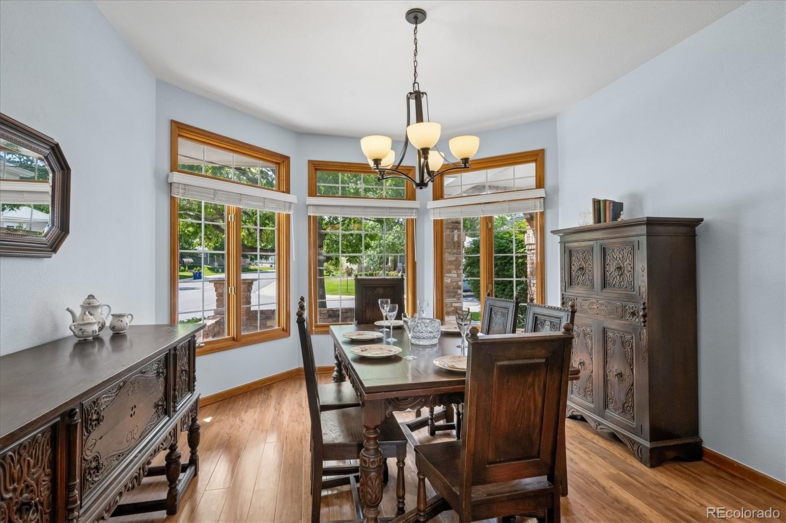 MLS Image #8 for 1  birmingham court,highlands ranch, Colorado