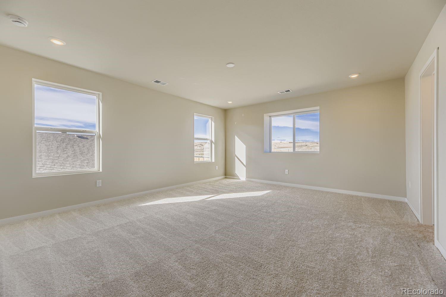 MLS Image #13 for 13769  daffodil point,parker, Colorado