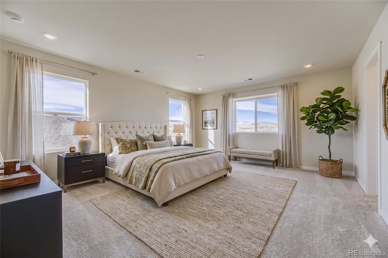 MLS Image #14 for 13769  daffodil point,parker, Colorado