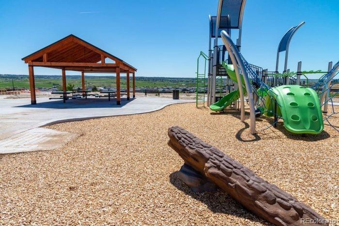 MLS Image #29 for 13769  daffodil point,parker, Colorado