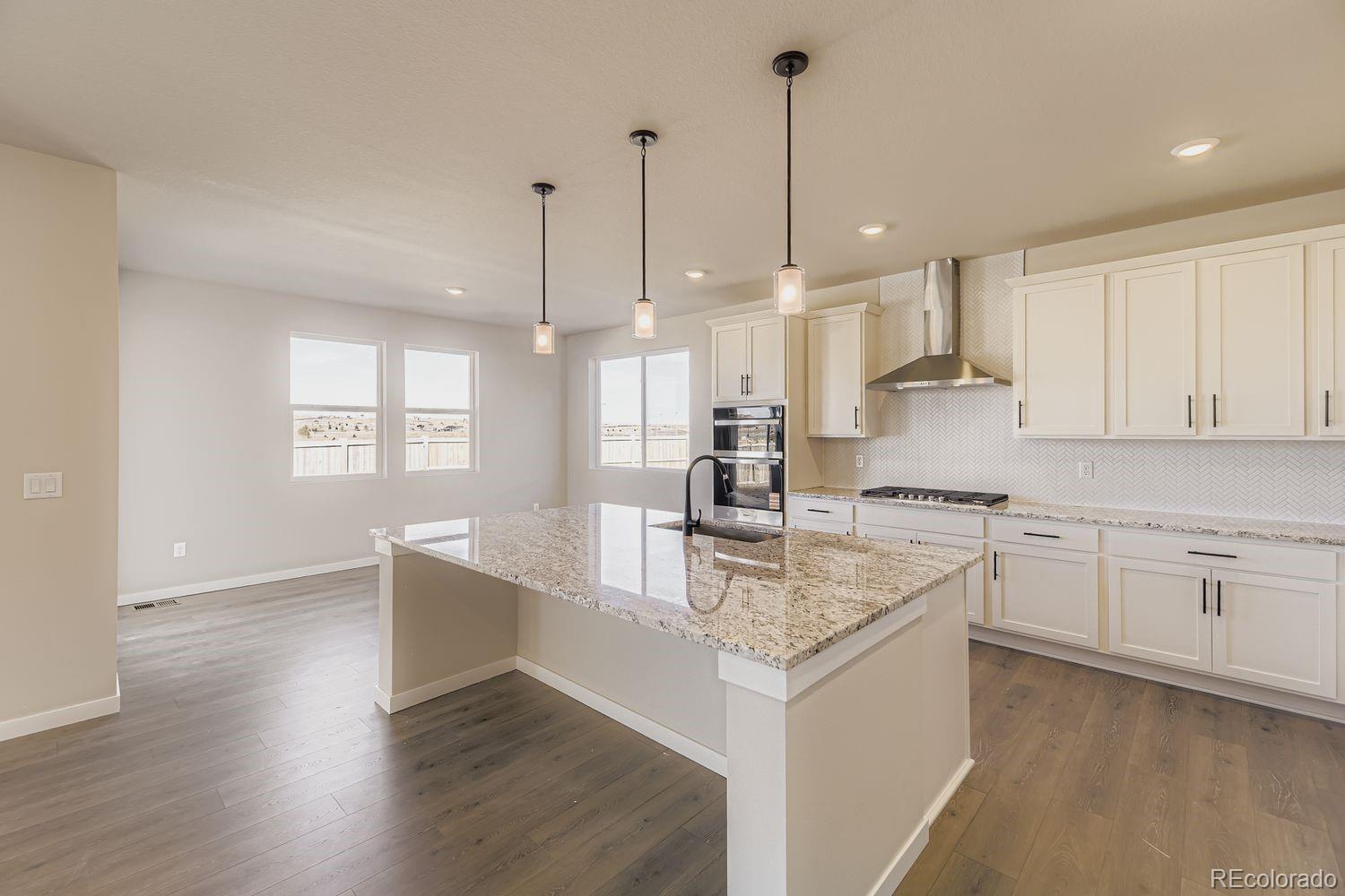 MLS Image #5 for 13769  daffodil point,parker, Colorado