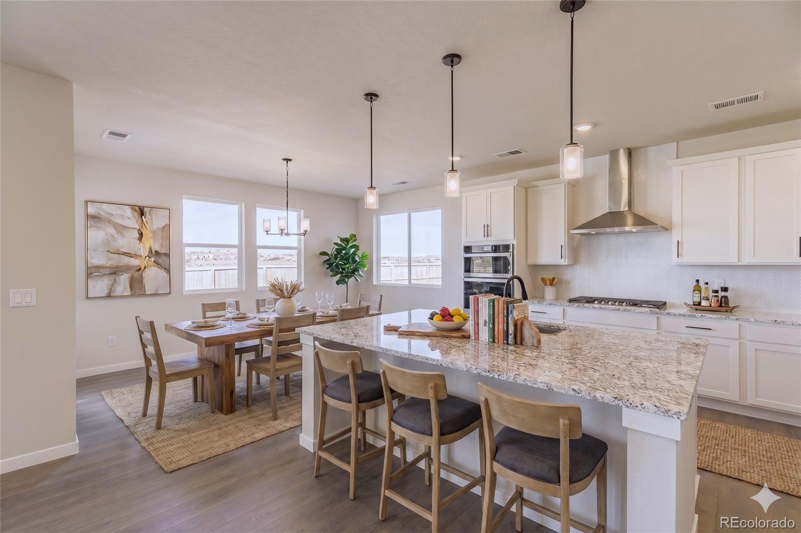 MLS Image #6 for 13769  daffodil point,parker, Colorado