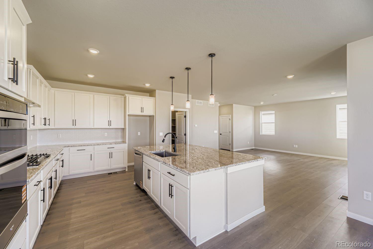 MLS Image #7 for 13769  daffodil point,parker, Colorado