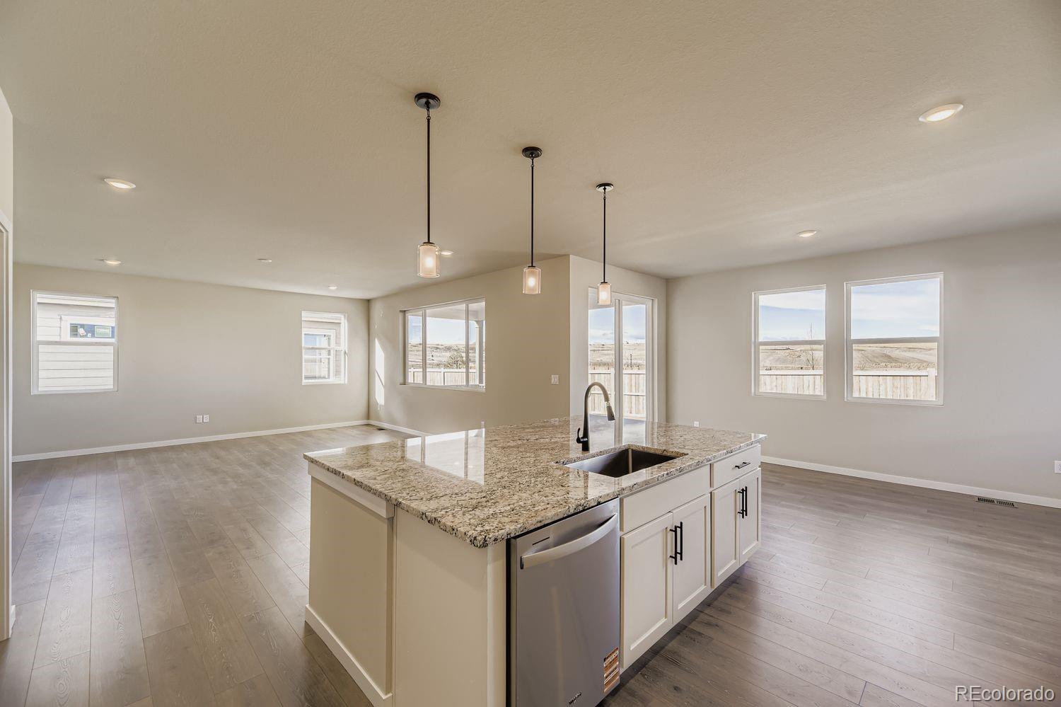 MLS Image #8 for 13769  daffodil point,parker, Colorado