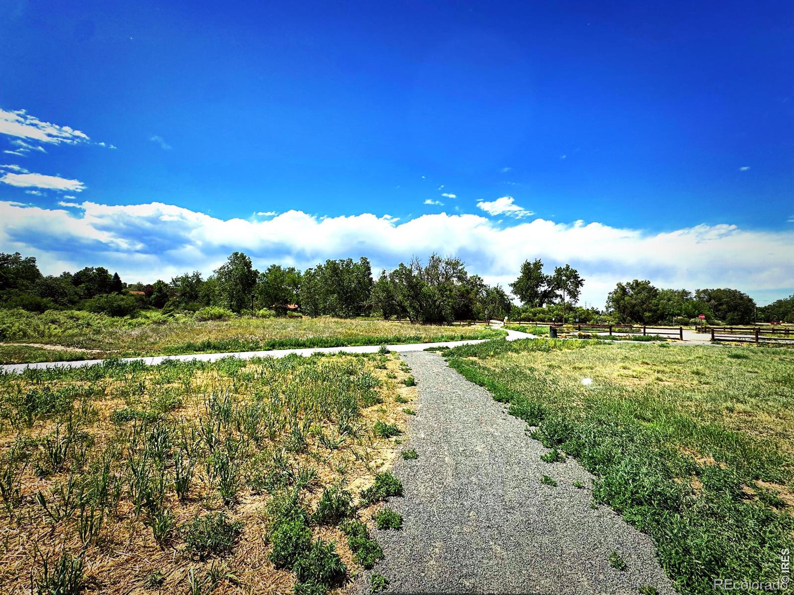 MLS Image #44 for 3121 s tamarac drive 208,denver, Colorado