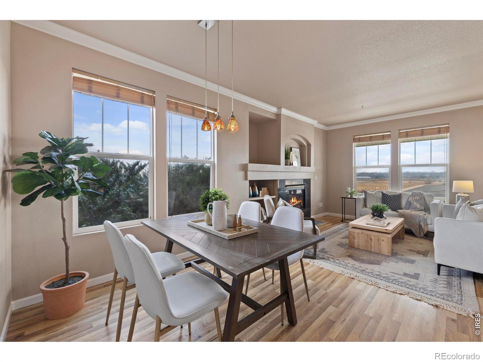 MLS Image #12 for 7399  russell circle,frederick, Colorado
