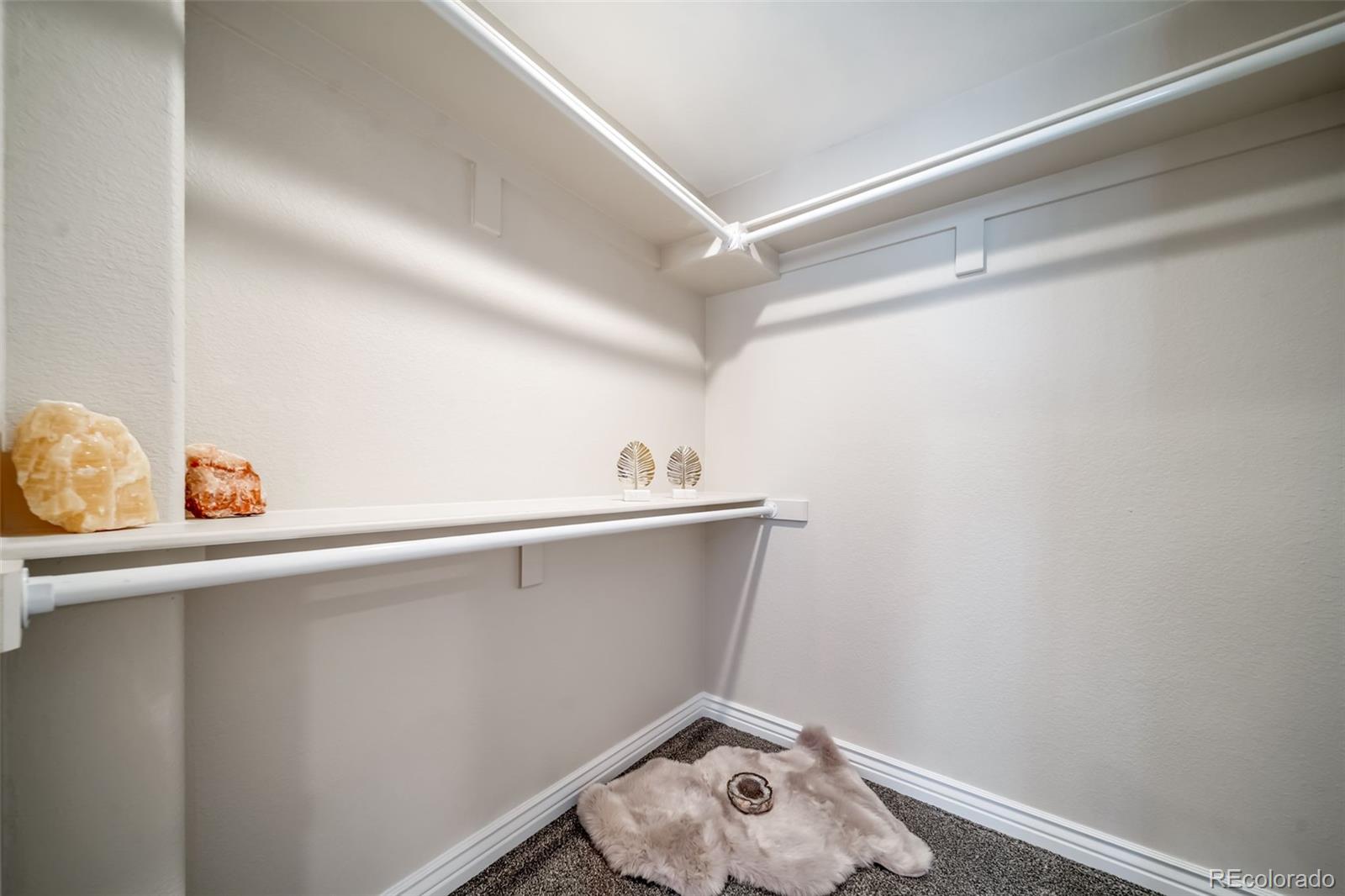 MLS Image #34 for 15738 e indian brook circle,parker, Colorado