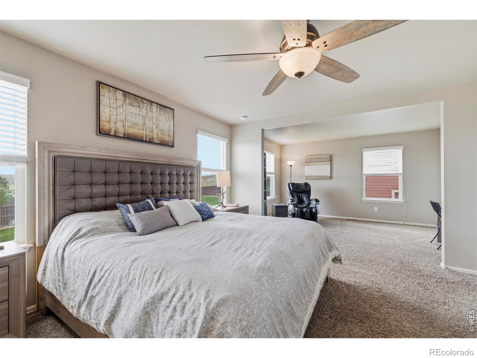 MLS Image #16 for 2273  stonefish drive,windsor, Colorado