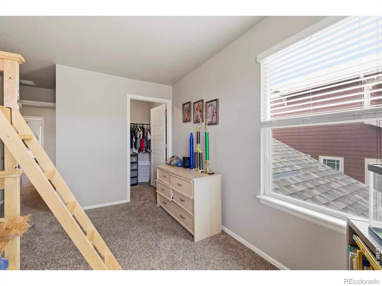 MLS Image #22 for 2273  stonefish drive,windsor, Colorado