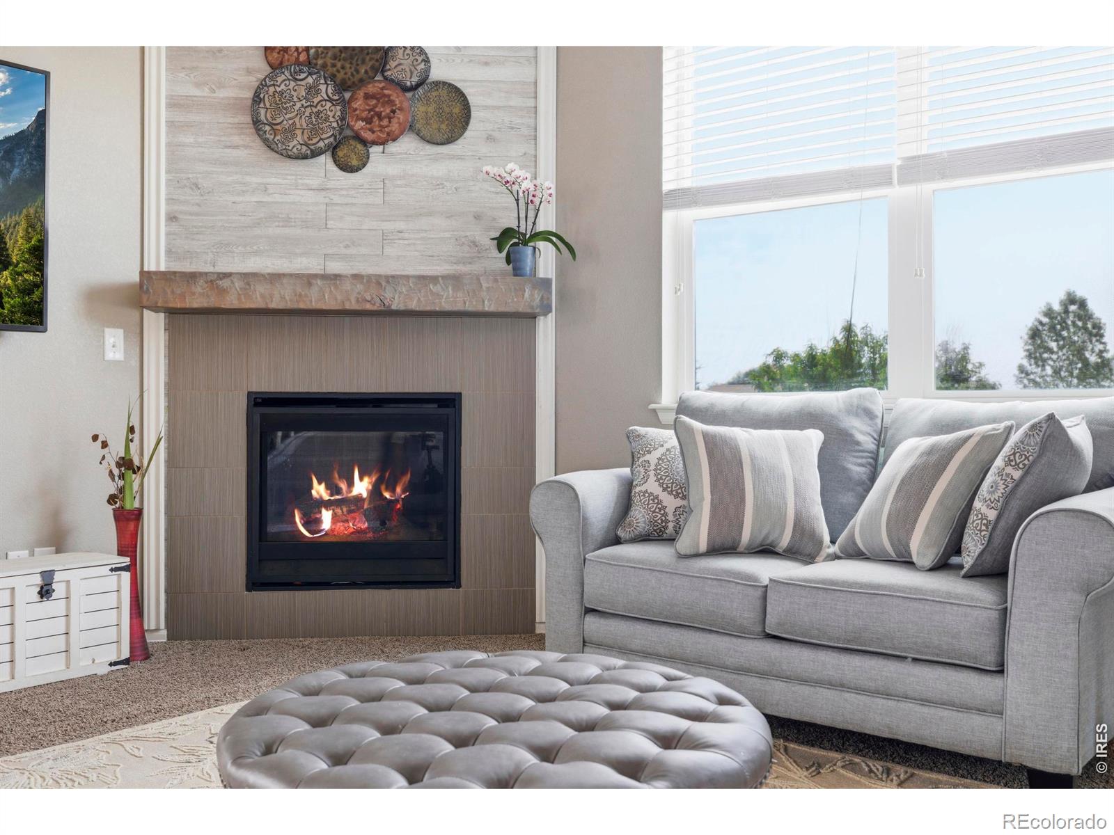 MLS Image #5 for 2273  stonefish drive,windsor, Colorado